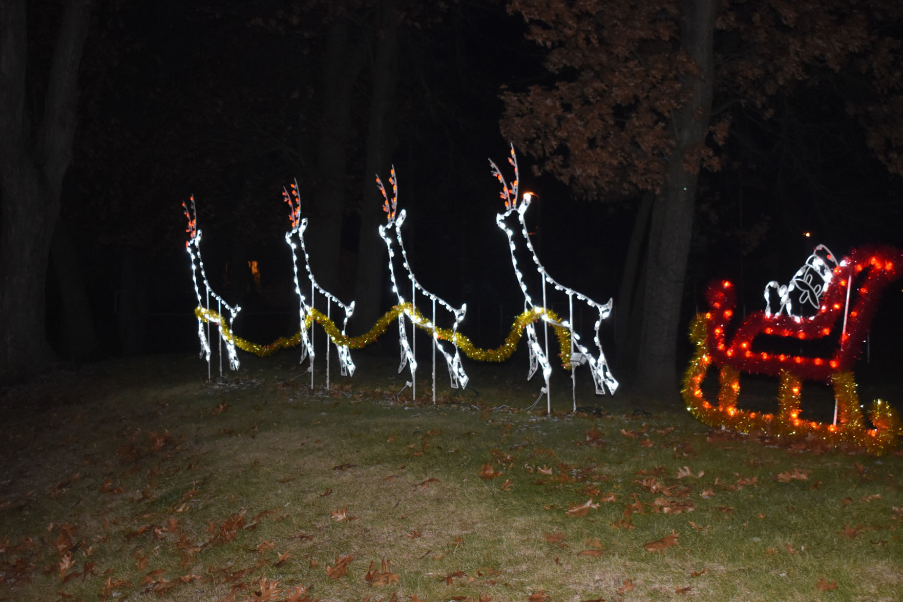 Chandler gallery -- dancing deer